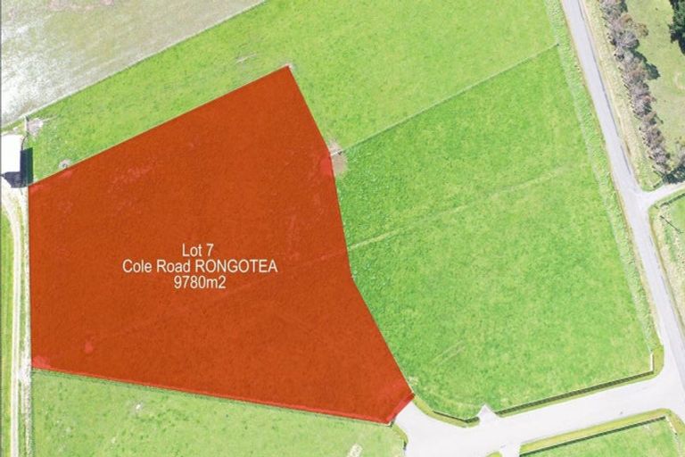 Photo of property in 8 Gill Lane, Rongotea, 4476