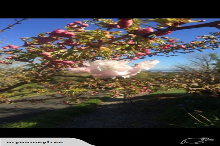 Photo of property in 5 Dunstan Grove, Richmond, 7020