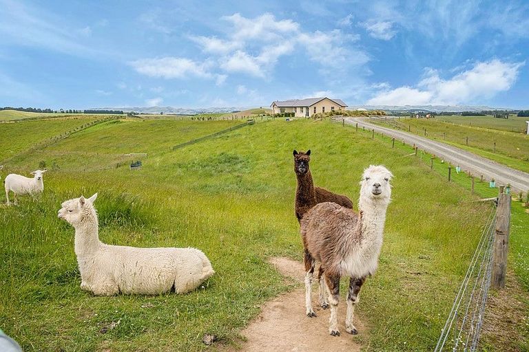 Photo of property in 1037 Reaby Road, Upper Charlton, Gore, 9774