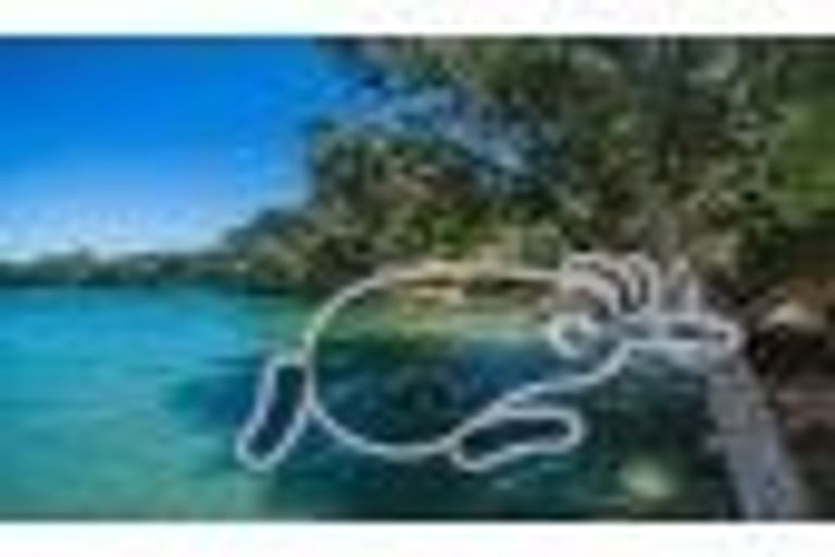 Photo of property in 6 Rewi Street, Torbay, Auckland, 0630