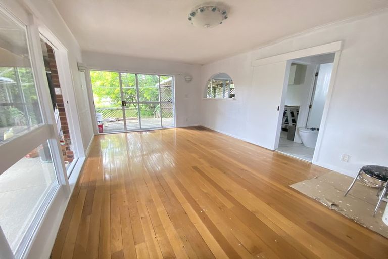 Photo of property in 41 Tudor Road, Henderson, Auckland, 0610