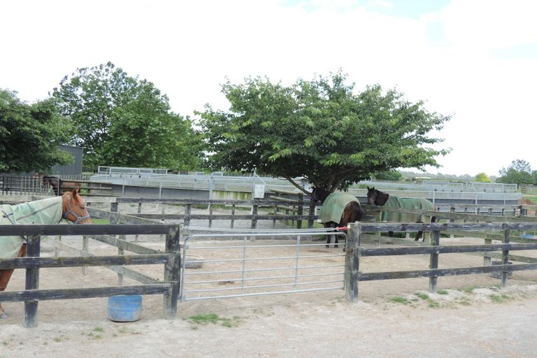 Photo of property in 1463 Alexandra Road, Waharoa, 3474