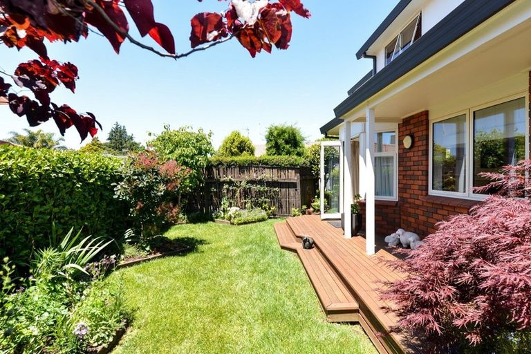 Photo of property in 48b Beerescourt Road, Beerescourt, Hamilton, 3200