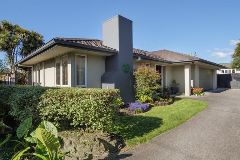 Photo of property in 4b Moehau Street, Te Puke, 3119