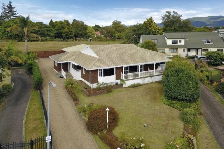 Photo of property in 16 Randell Place, Te Puke, 3119