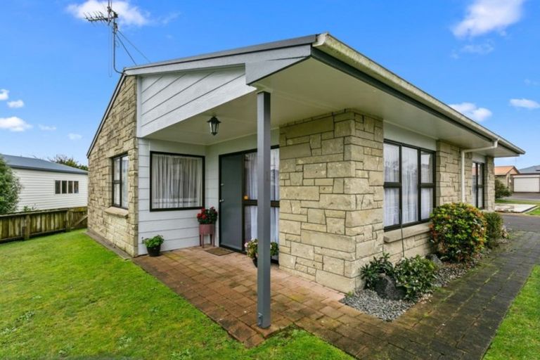Photo of property in 1/12 Buchanan Street, Matamata, 3400