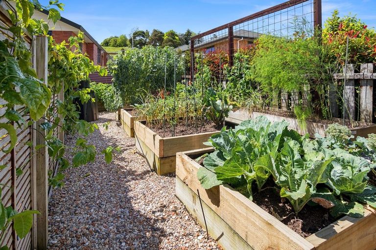 Photo of property in 358 Chatsfield Drive, Te Awamutu, 3800