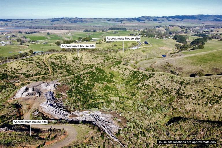 Photo of property in 80 Cameron Town Road, Pukekohe, 2678