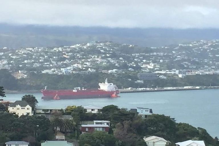 Photo of property in 56 Marewa Road, Hataitai, Wellington, 6021