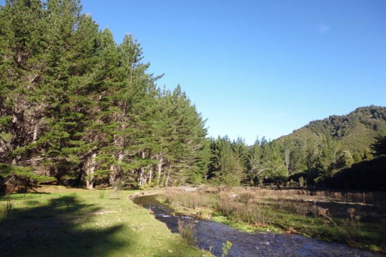 Photo of property in 1677 Takaputahi Road, Toatoa, Opotiki, 3197