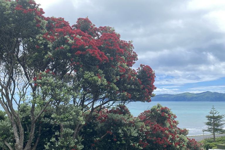 Photo of property in 48 Forest Road, Raumati South, Paraparaumu, 5032