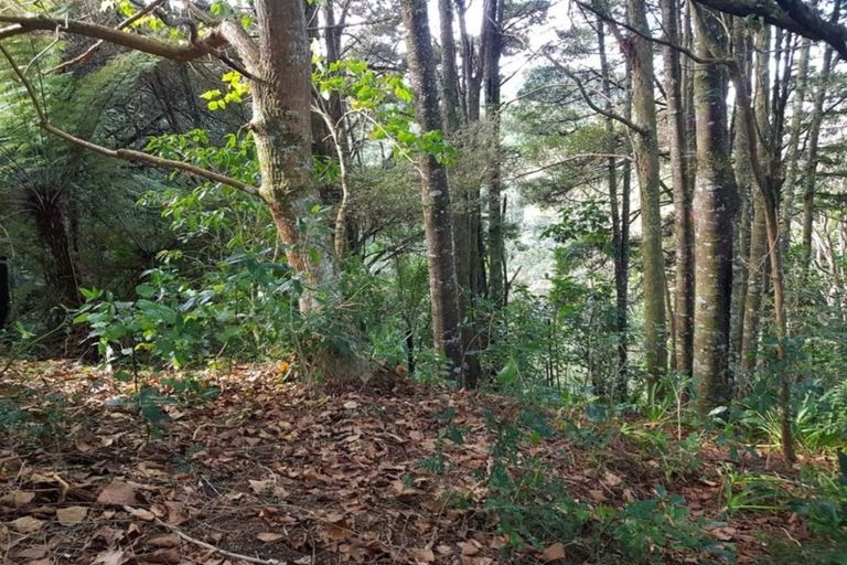 Photo of property in 325 Bald Hill Road, Waiuku, 2681