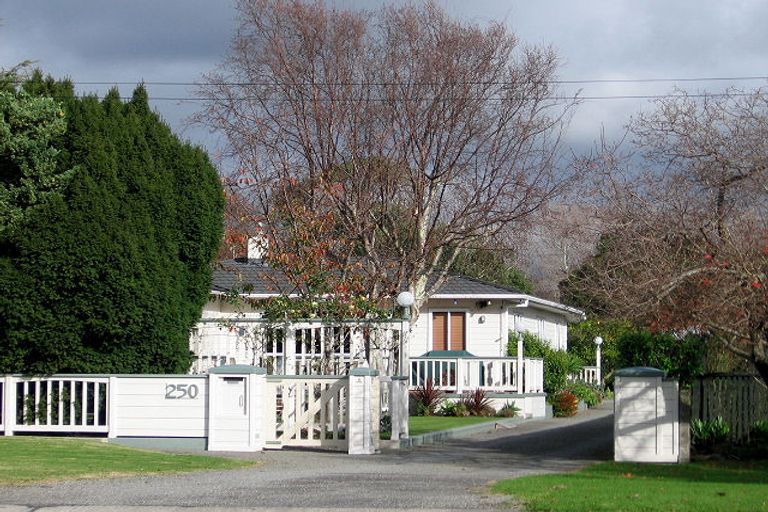 Photo of property in 250 Te Moana Road, Waikanae, 5036