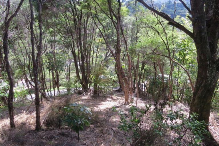 Photo of property in 395a Driving Creek Road, Coromandel, 3506