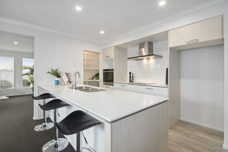 Photo of property in 16 Boysenberry Grove, Richmond, 7020