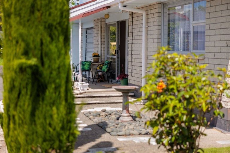 Photo of property in 16 Hayes Avenue, Gate Pa, Tauranga, 3112