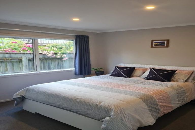 Photo of property in 77 Dublin Street, Martinborough, 5711