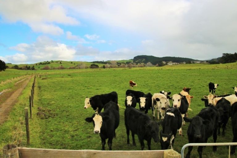 Photo of property in 1008 Tangowahine Valley Road, Tangowahine, Dargaville, 0372