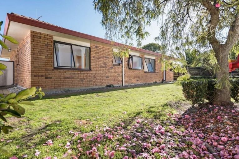 Photo of property in 46a Sunrise Avenue, Mount Maunganui, 3116