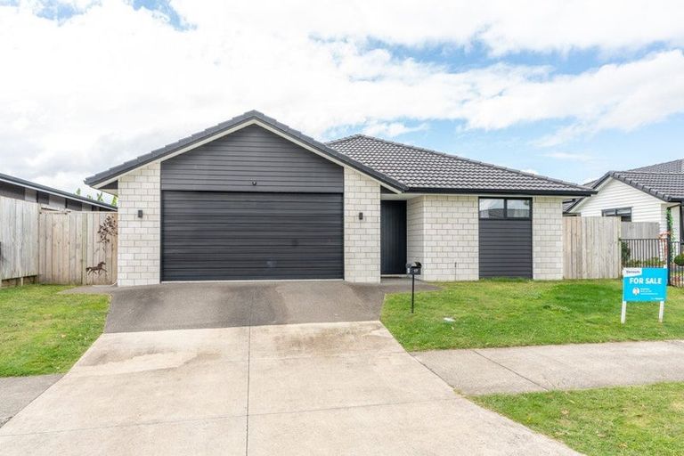 Photo of property in 17 Briannarose Drive, Fitzroy, Hamilton, 3206