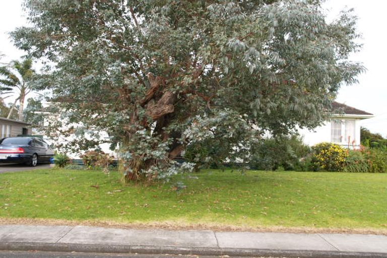 Photo of property in 1 Trembath Avenue, Mangere East, Auckland, 2024