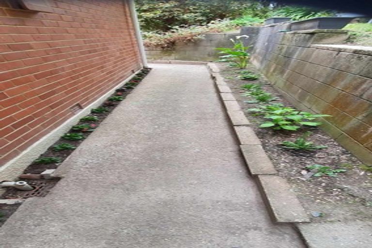 Photo of property in 50 Baldwin Street, North East Valley, Dunedin, 9010