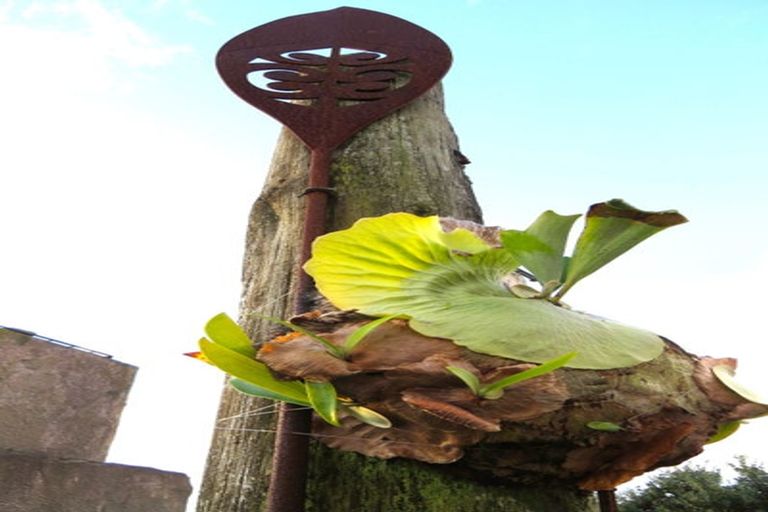 Photo of property in 956 Oneriri Road, Kaiwaka, 0573