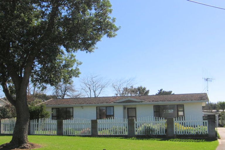 Photo of property in 61 Norbiton Road, Foxton, 4814