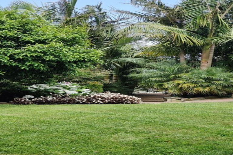 Photo of property in 709 Tairua Sh25 Road, Onemana, Whangamata, 3691