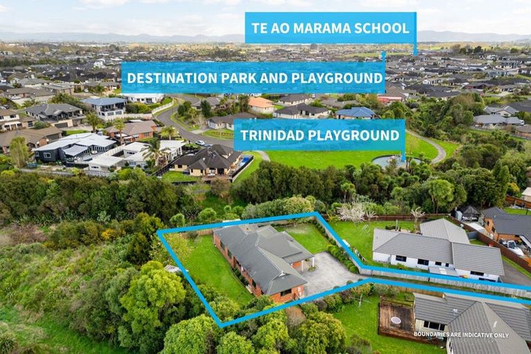 Photo of property in 11 Claymore Place, Flagstaff, Hamilton, 3210