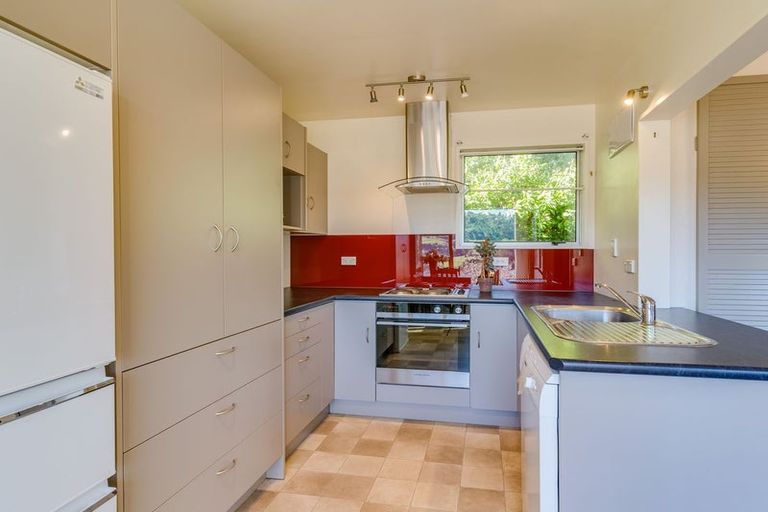 Photo of property in 2 Buchanan Street, North East Valley, Dunedin, 9010