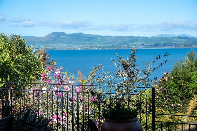 Photo of property in 180 Kawaha Point Road, Kawaha Point, Rotorua, 3010