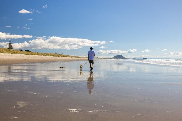 Photo of property in 60 Gloucester Road, Mount Maunganui, 3116
