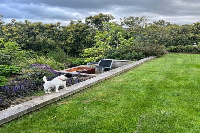 Photo of property in 1311d State Highway 2, Whakamarama, Tauranga, 3180