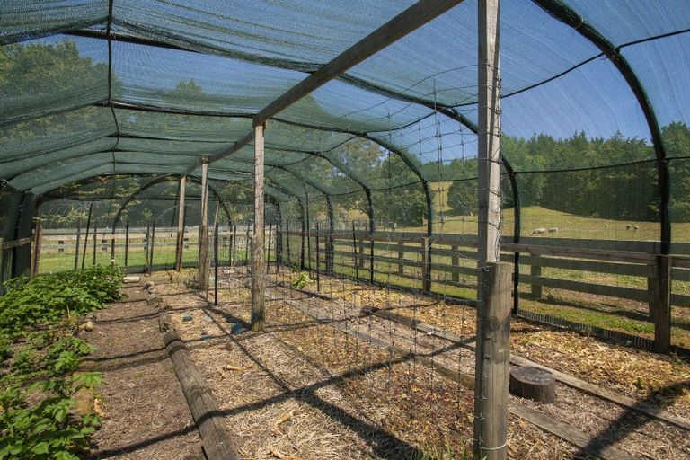 Photo of property in 909a Wharekopae Road, Ngatapa, Gisborne, 4072