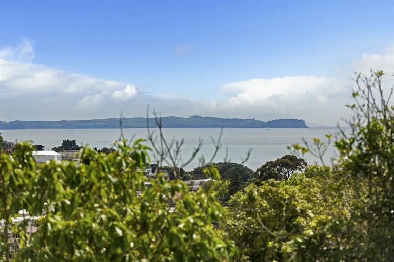 Photo of property in 131c Kowhai Road, Mairangi Bay, Auckland, 0630