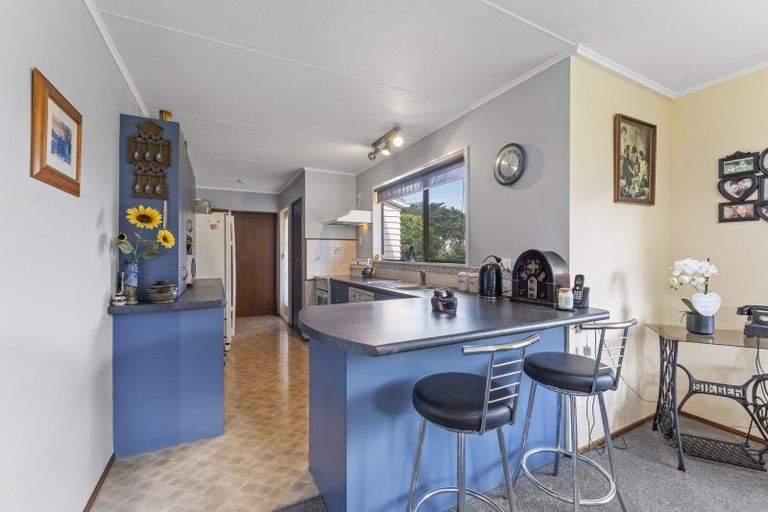 Photo of property in 114 Ridge Road Central, Mangamutu, Pahiatua, 4983