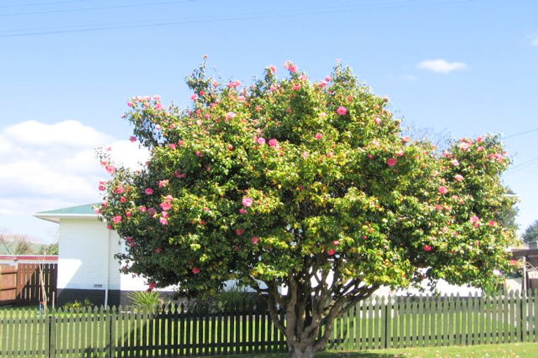 Photo of property in 22 Roosevelt Road, Western Heights, Rotorua, 3015