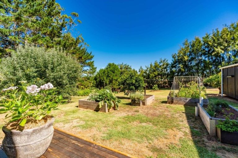 Photo of property in 379c Tara Road, Mangawhai, Kaiwaka, 0573