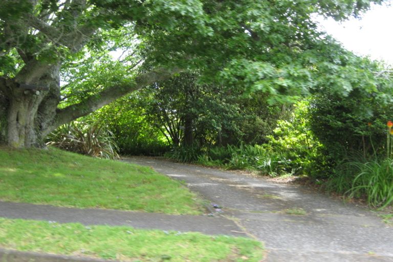 Photo of property in 295 Upper Queen Street, Pukekohe, 2120