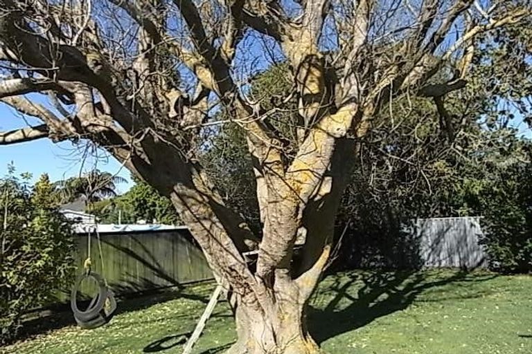 Photo of property in 28 Galway Avenue, Hokowhitu, Palmerston North, 4410