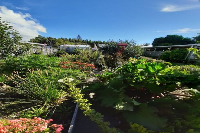 Photo of property in 48 Harrison Street West, Featherston, 5710