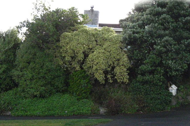 Photo of property in 21 Mckerrow Street, Shiel Hill, Dunedin, 9013