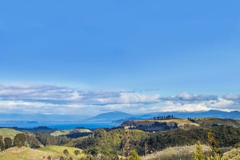 Photo of property in 445 Otake Road, Marotiri, Taupo, 3377