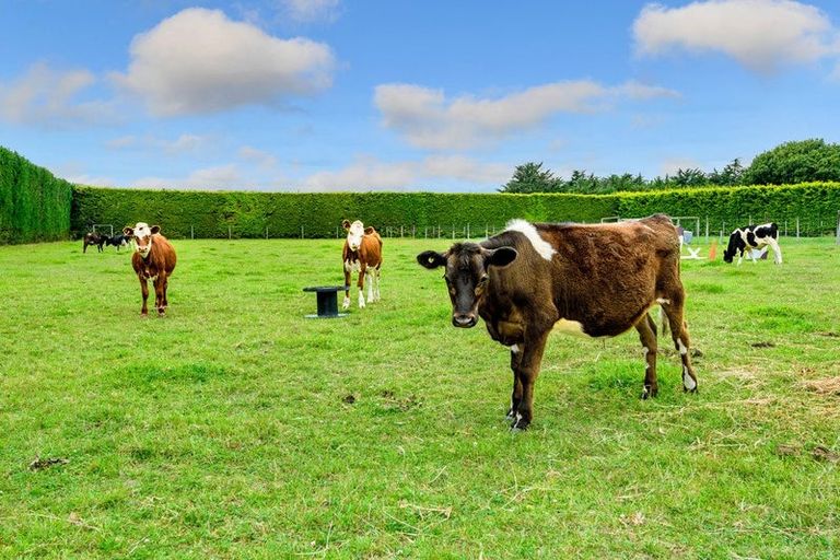 Photo of property in 537 Ellesmere Road, Lincoln, Christchurch, 7672