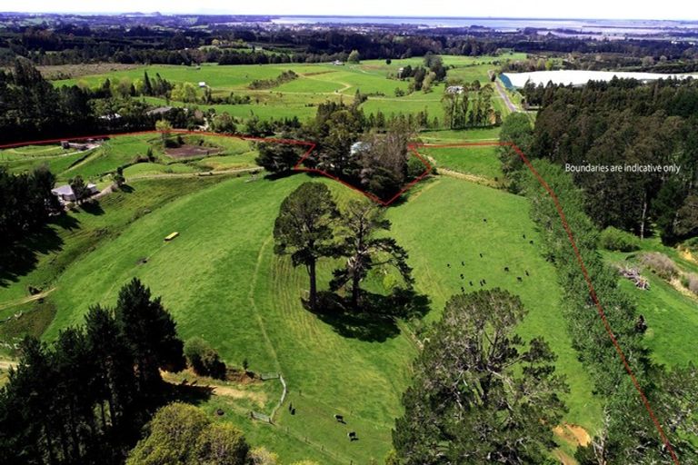 Photo of property in 348b Rea Road, Tahawai, Katikati, 3178