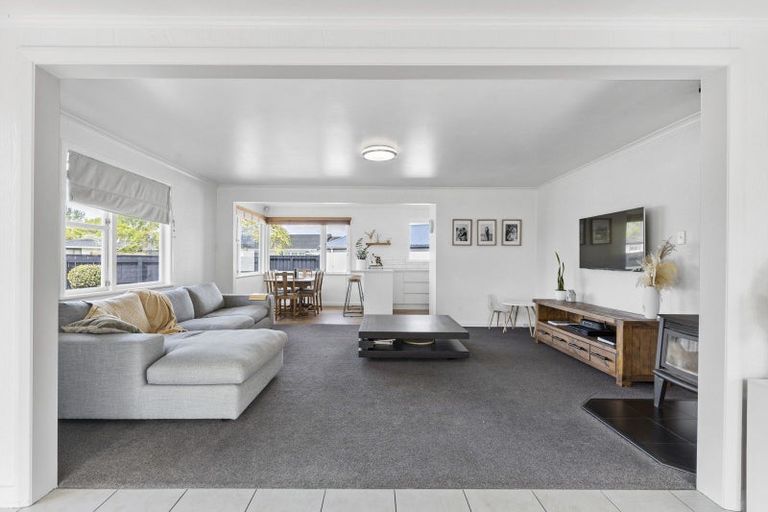 Photo of property in 282 Tremaine Avenue, Takaro, Palmerston North, 4412