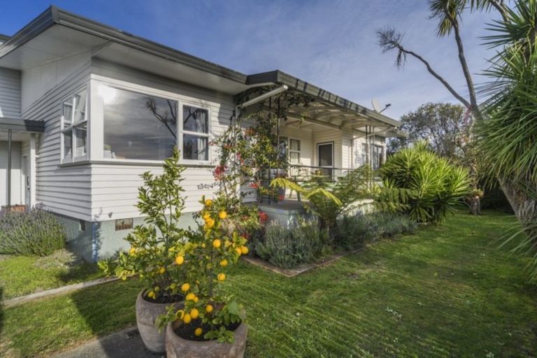 Photo of property in 98a Limbrick Street, Terrace End, Palmerston North, 4410