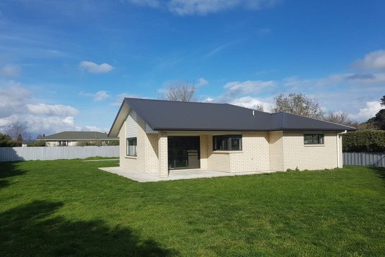 Photo of property in 41 Rata Street, Matamata, 3400