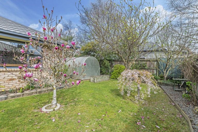 Photo of property in 164 Main Street, Oxford, 7430